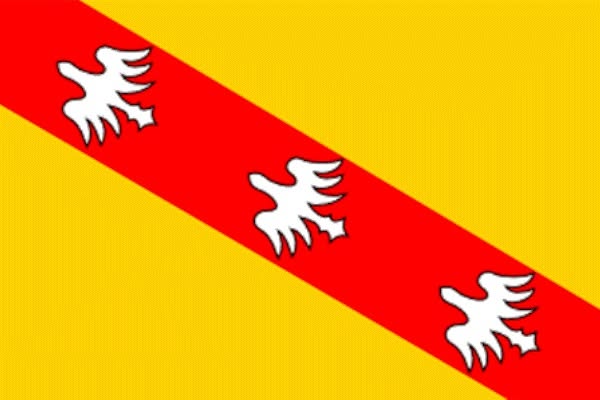 Media post X