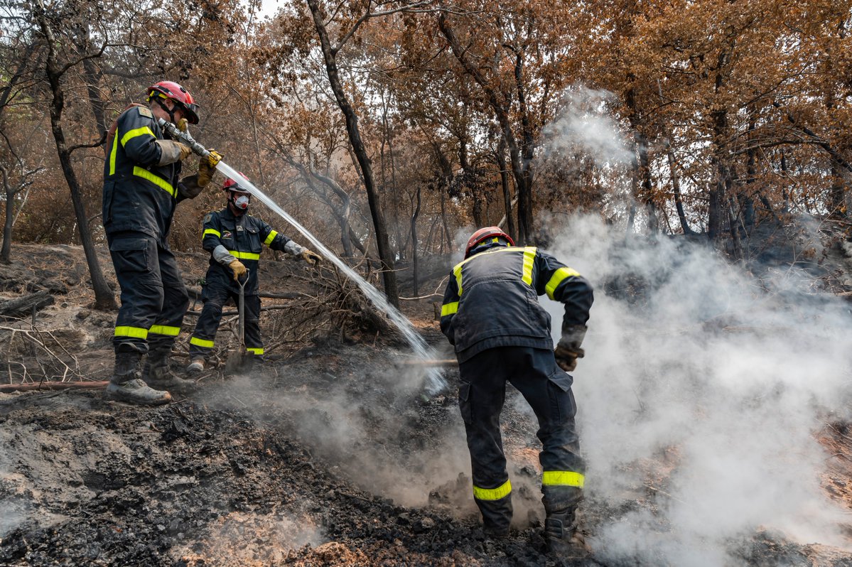 Prévention des incendies en zones naturelles en Ardèche