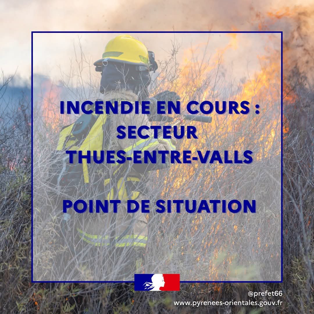 Feu d'espace naturel à Thuès-Entre-Valls : opérations en cours