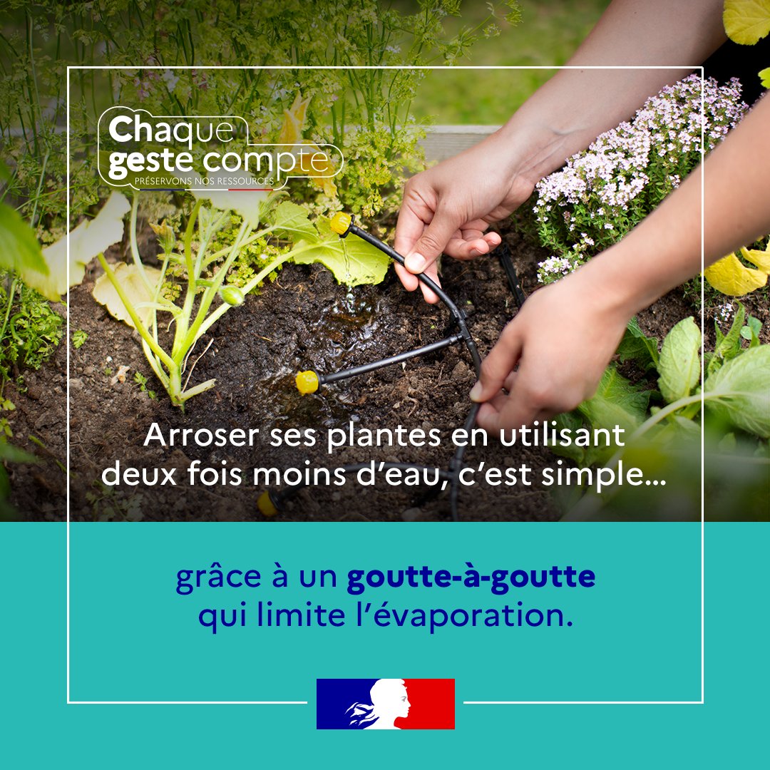 Arrosage par goutte-à-goutte pour économiser l'eau