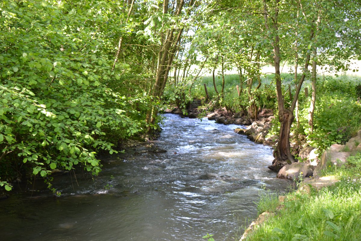 Mise à jour de la carte des cours d'eau de la Mayenne