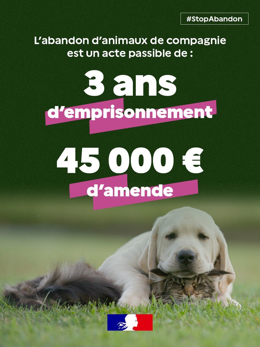 Stop Abandon : prévention des maltraitances animales en Seine-Maritime