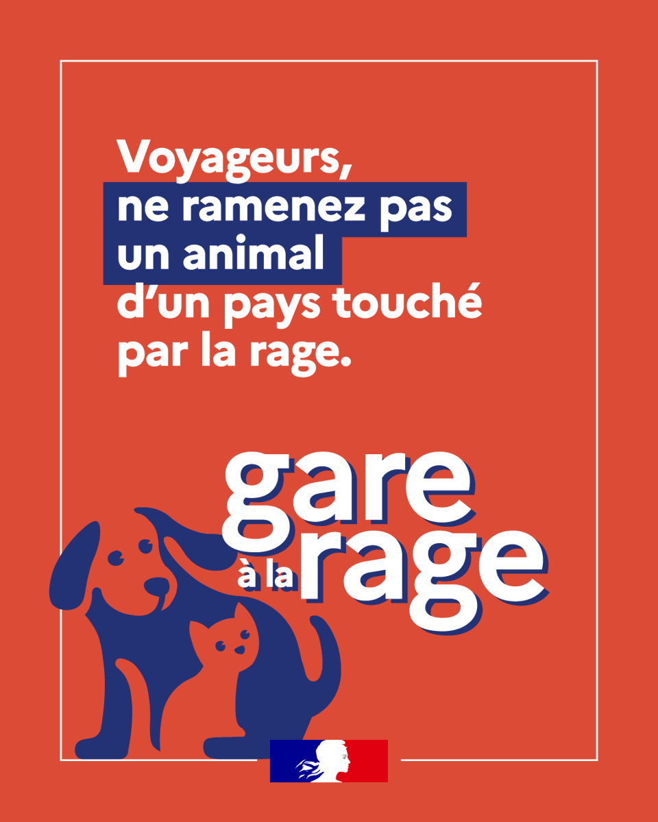 Gare à la rage : prévention pour voyageurs et animaux
