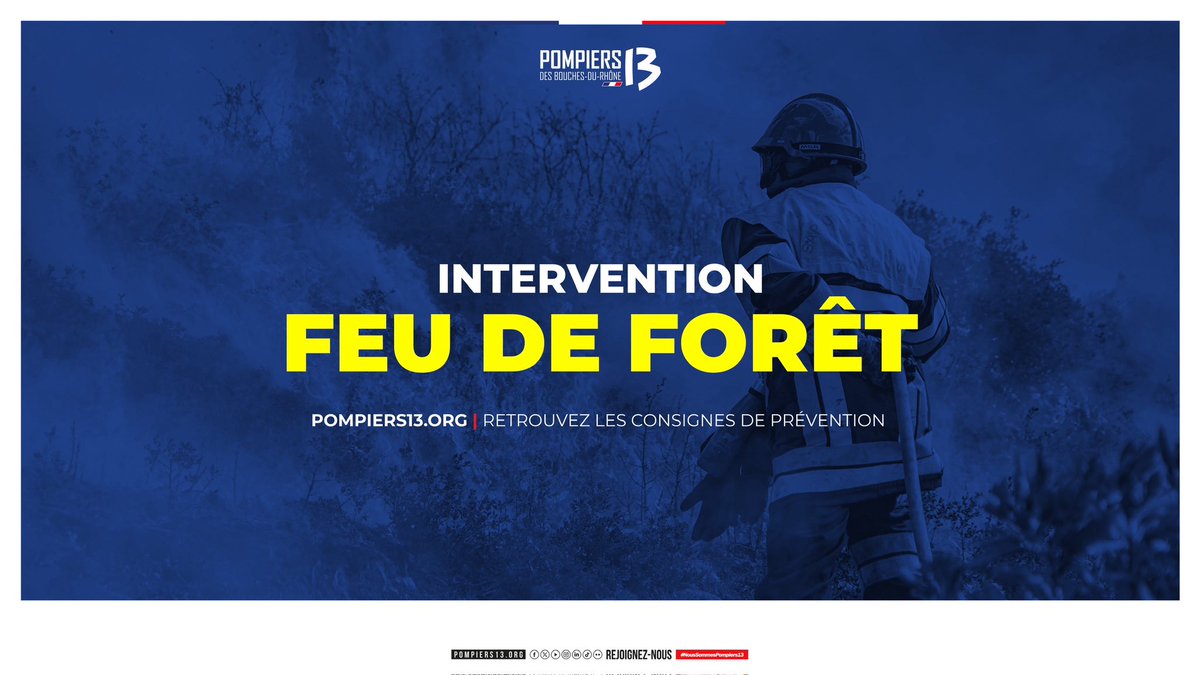 Feu de végétation à Fontvieille : plus de 200 pompiers mobilisés