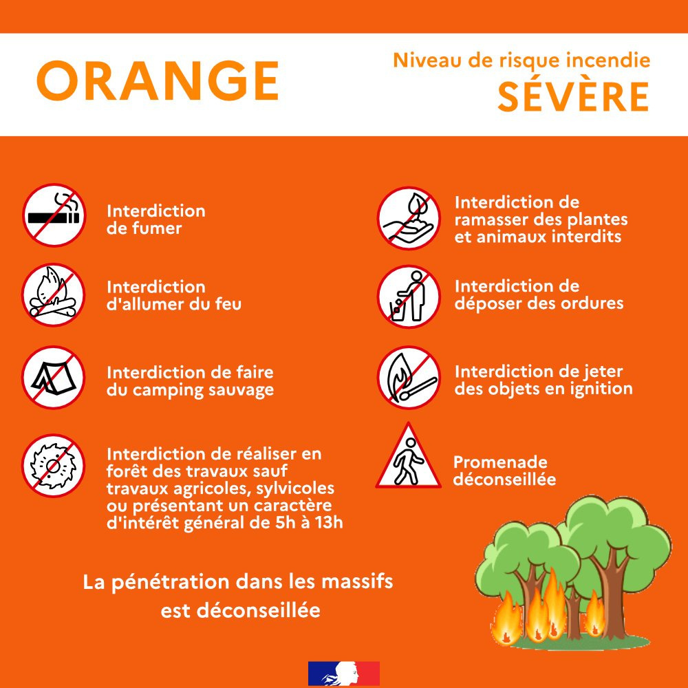 Risque incendie sévère dans tous les massifs forestiers du Var