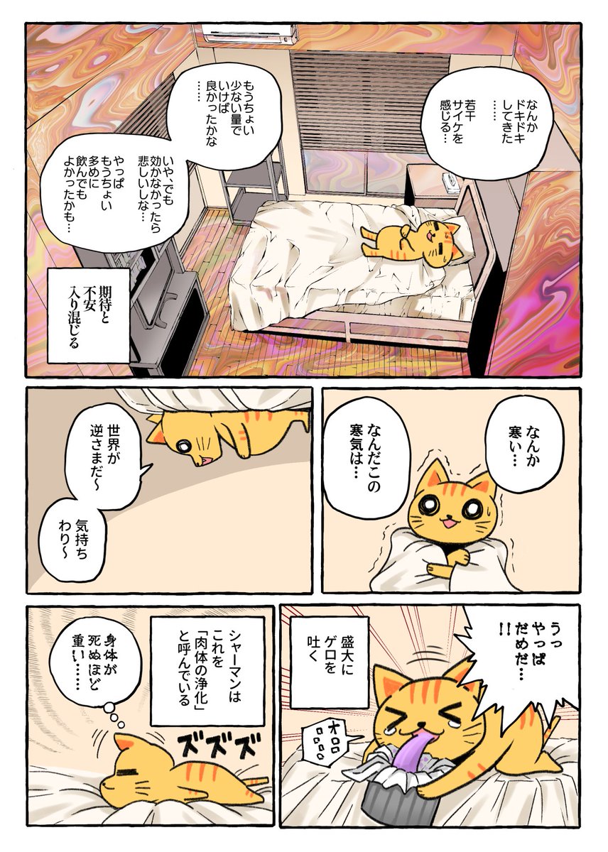 キメねこ (@kime_neko):