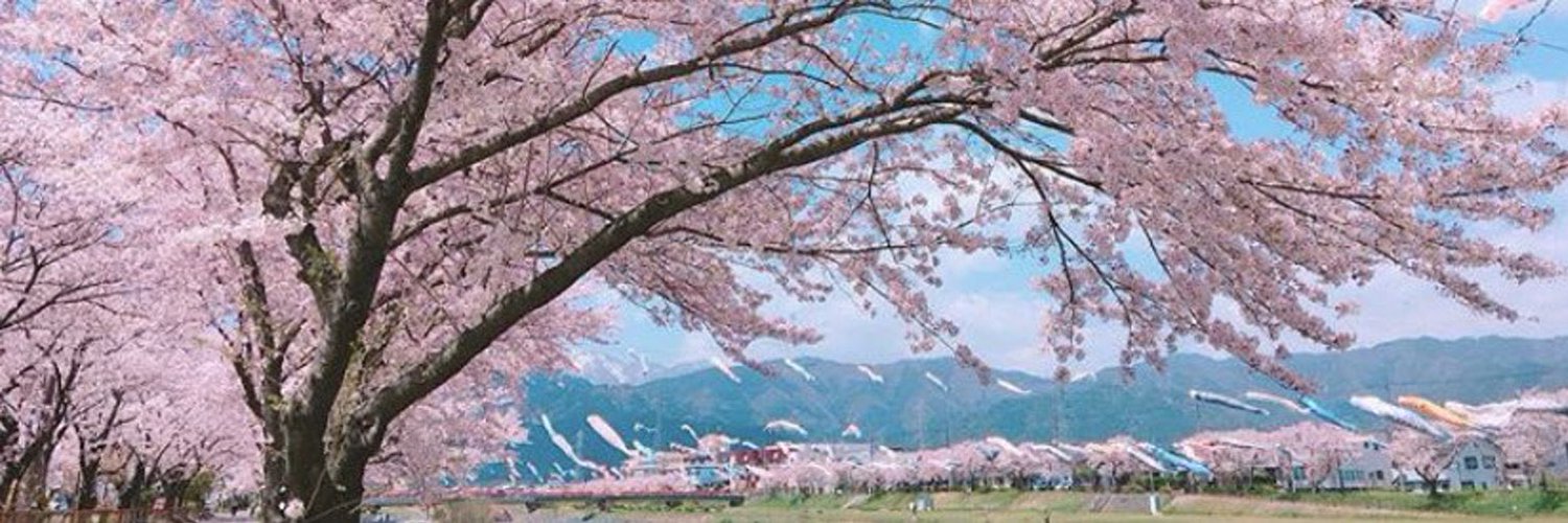 太田 けいすけ 岐阜県垂井町議会議員 関ヶ原21 Keisukeota Gifu Nitter